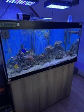 Large fish tank for sale  BISHOP'S STORTFORD