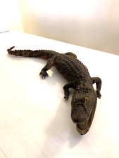 Raro coccodrillo imbalsamato usato  Montale