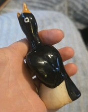 Midwinter blackbird pie for sale Midwinter blackbird pie for sale  BRIGHTON