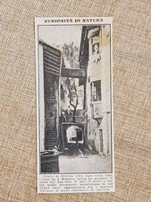 Bolzano nel 1913 usato  Villarosa