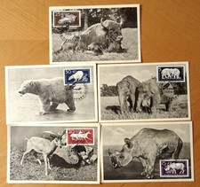 Karten ansichtskarten sammelka gebraucht kaufen  Bärenstein, Königswalde