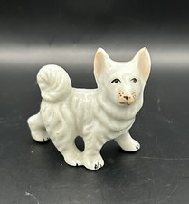 White samoyed american for sale  Lakewood