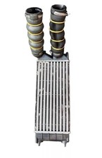 Intercooler per citroen usato  Italia