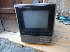 Monitor color orion usato  Orvieto
