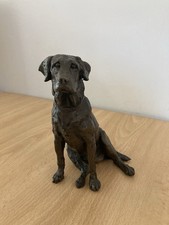 Bronze effect labrador for sale  GODALMING