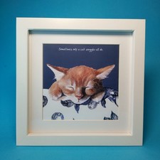 Digs manor cat for sale Digs manor cat for sale  PENRYN