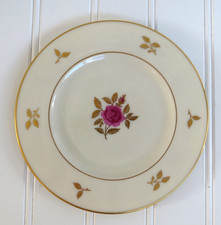 Lenox dinner plates for sale  Hubbard