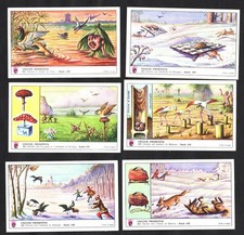 Primitive animal bird for sale Primitive animal bird for sale  BRIDPORT