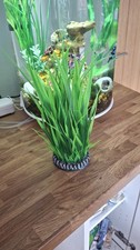 large fish tanks for sale  BARNSLEY