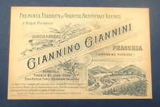 Cartolina giannino giannini usato  Vittorio Veneto