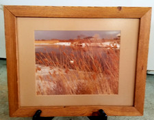 Framed print dune for sale  Clementon