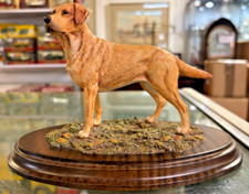 Country artist golden for sale  BEDFORD