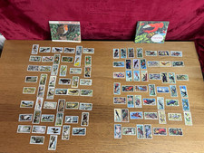 Tropical birds wild for sale  KING'S LYNN