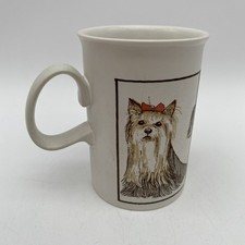 Dunoon yorkie dog for sale  Scottsdale