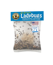 Naturesgoodguys live ladybugs for sale  Camarillo