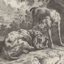 Johann elias ridinger gebraucht kaufen  Berlin