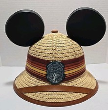 Disney animal kingdom for sale  Mabscott