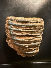 Mammoth tooth fossil for sale  LONDON