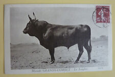 Old postcard postcard d'occasion  Expédié en Belgium