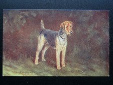 Champion longmynd pypyr for sale Champion longmynd pypyr for sale  UK