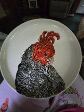 rooster friendly for sale rooster friendly for sale Laconia