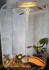 biorb d'occasion biorb d'occasion  Bayonne