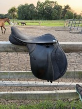 Thorowgood 16.5 pony for sale  Vincentown