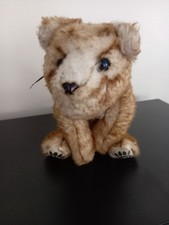 Wow wee alive for sale Wow wee alive for sale  KNOTTINGLEY