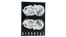 Rétrospective berrocal botani d'occasion  Longwy