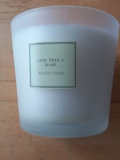 Lime tree basil for sale Lime tree basil for sale  BIRMINGHAM