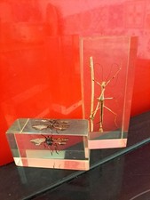 plastic insects for sale plastic insects for sale TEMPLECOMBE