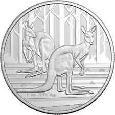 Australien 2024 känguru gebraucht kaufen  Borgholzhausen