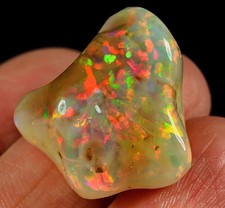 26.9ct african polished for sale  Walnut