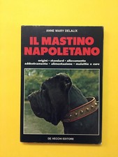 Mastino napoletano anne usato  Italia