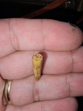 Original wwii japanese for sale  Mesquite