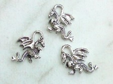 Anhänger drache 20x16mm gebraucht kaufen Anhänger drache 20x16mm gebraucht kaufen  Hannover
