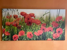 Wunderschönes bild mohnblumen gebraucht kaufen  Wurzen