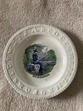 Elsmore foster child for sale  Roanoke
