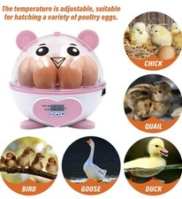 hen eggs incubator for sale hen eggs incubator for sale BRECON