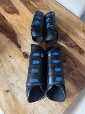 Premier equine black for sale  BENFLEET