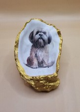 Shitzu puppy dog for sale  EDENBRIDGE