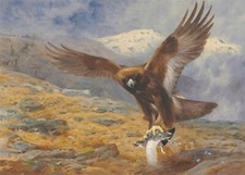 Archibald thorburn print for sale  UK