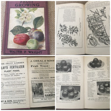Pictorial Practical Fruit Growing Dated 1909 Illustrated Book, usado comprar usado  Enviando para Brazil