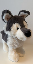 Nici hund husky gebraucht kaufen  Wardenburg