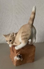 Ginger kitten box for sale  HIGH PEAK
