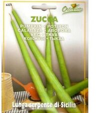 Zucca zucchino langenaria usato  Italia