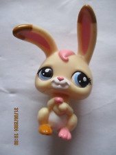 Petshop lapin garenne d'occasion  Bailleul