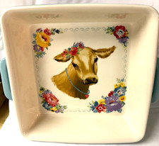 Pioneer woman stoneware for sale  Clarkston