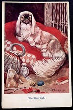 George studdy pekingese for sale  DUMFRIES