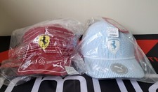 Lewis hamilton ferrari for sale  EXETER